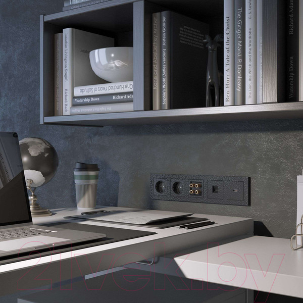 Изображение товара Розетка Werkel W1285008 (черный)