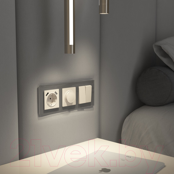 Изображение товара Диммер Werkel W1142062 (айвори матовый)