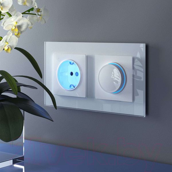 Изображение товара Диммер Werkel W1142101 (белый)