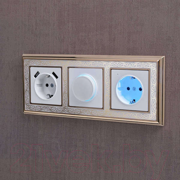 Изображение товара Диммер Werkel W1142101 (белый)