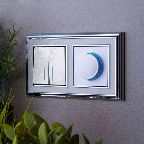 Изображение товара Диммер Werkel W1142101 (белый)