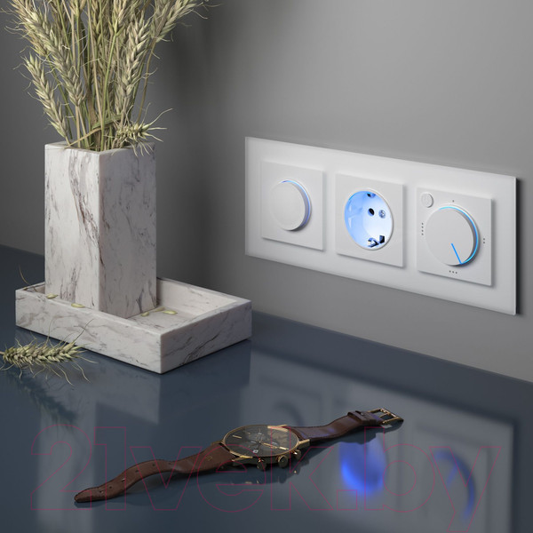 Изображение товара Диммер Werkel W1142101 (белый)