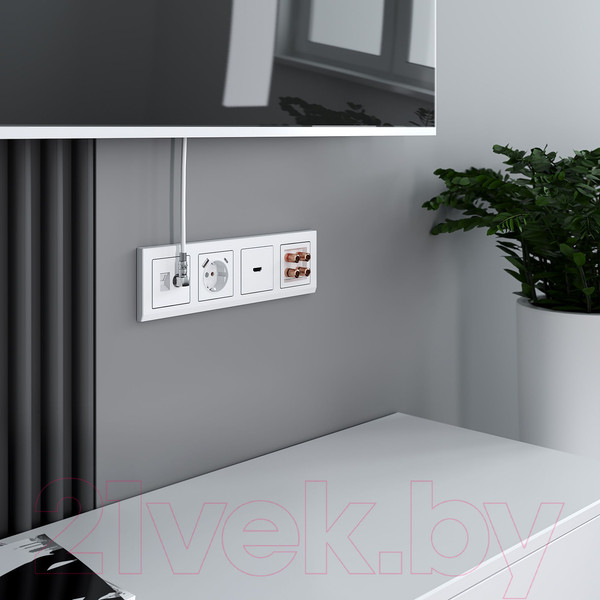 Изображение товара Розетка Werkel W1171701 (белый)