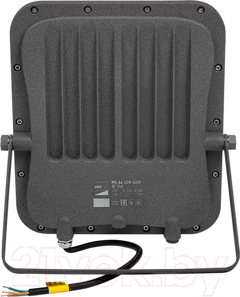 Изображение товара Прожектор JAZZway PFL-S4-100w / 5036437