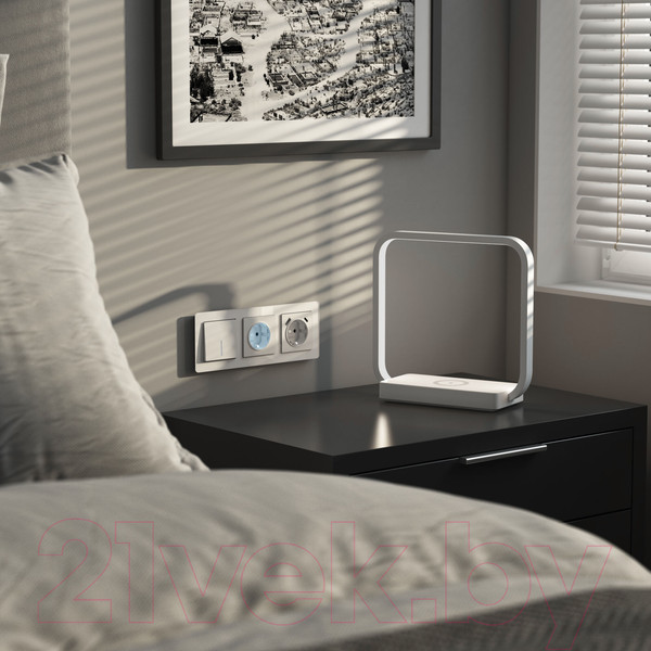 Изображение товара Розетка Werkel W1171461 (белый матовый)