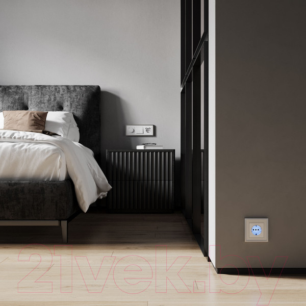 Изображение товара Розетка Werkel W1171461 (белый матовый)