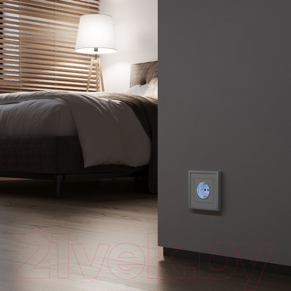 Изображение товара Розетка Werkel W1171461 (белый матовый)