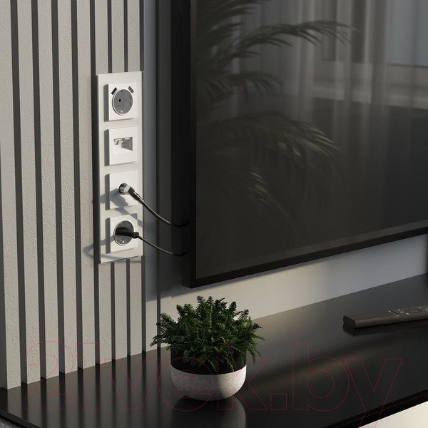 Изображение товара Розетка Werkel W1171561 (белый матовый)