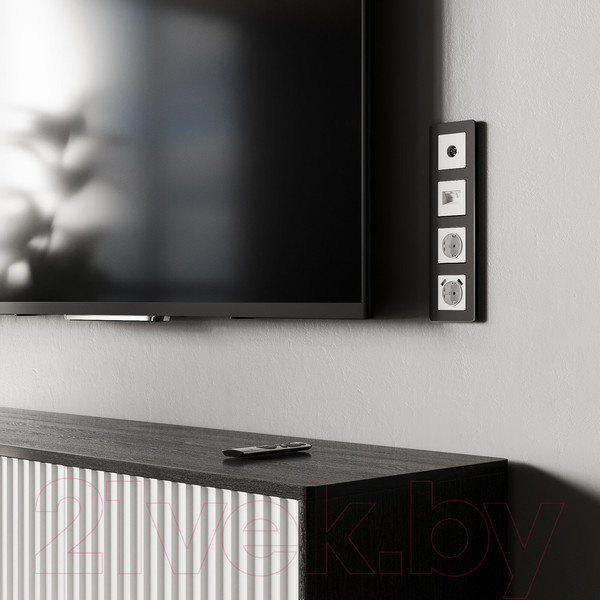 Изображение товара Розетка Werkel W1171561 (белый матовый)