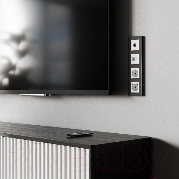 Изображение товара Розетка Werkel W1183061 (белый матовый)