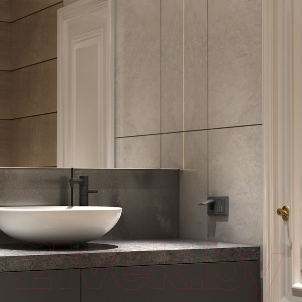 Изображение товара Розетка Werkel W1171264 (графит матовый)