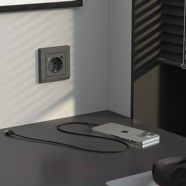 Изображение товара Розетка Werkel W1171764 (графит матовый)