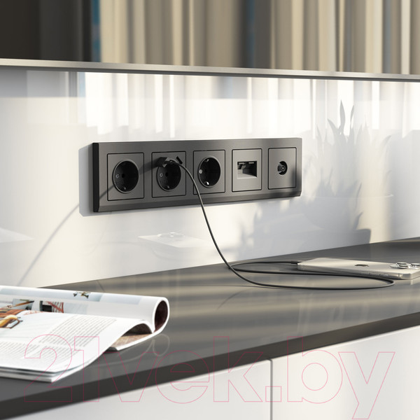 Изображение товара Розетка Werkel W1183064 (графит матовый)