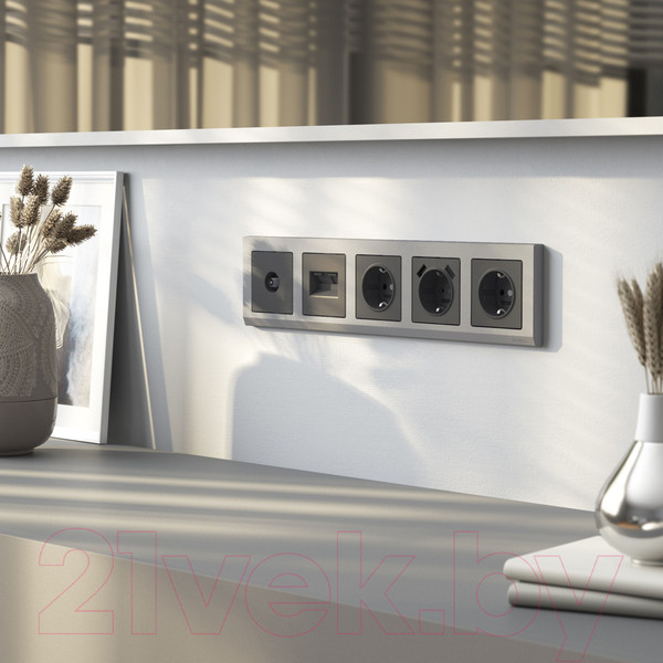 Изображение товара Розетка Werkel W1183064 (графит матовый)