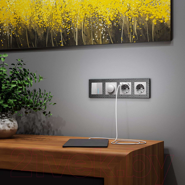 Изображение товара Диммер Werkel W1142006 (серебряный)