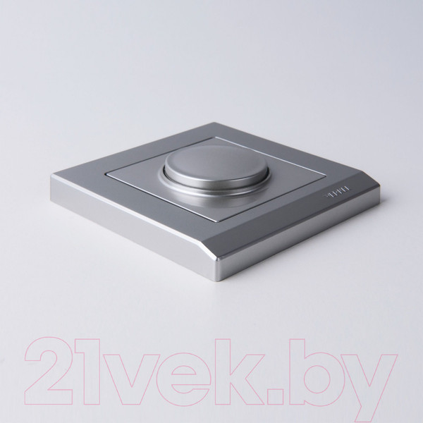 Изображение товара Диммер Werkel W1142006 (серебряный)