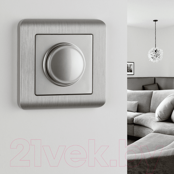Изображение товара Диммер Werkel W1142006 (серебряный)
