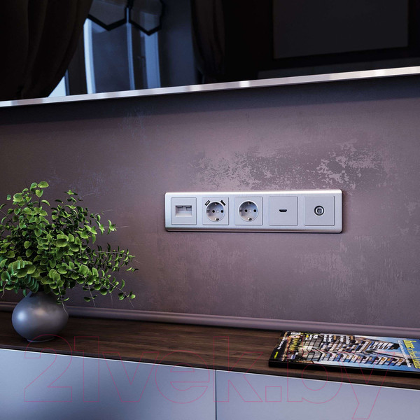 Изображение товара Розетка Werkel W1171506 (серебряный)