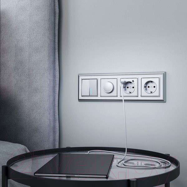 Изображение товара Розетка Werkel W1171506 (серебряный)