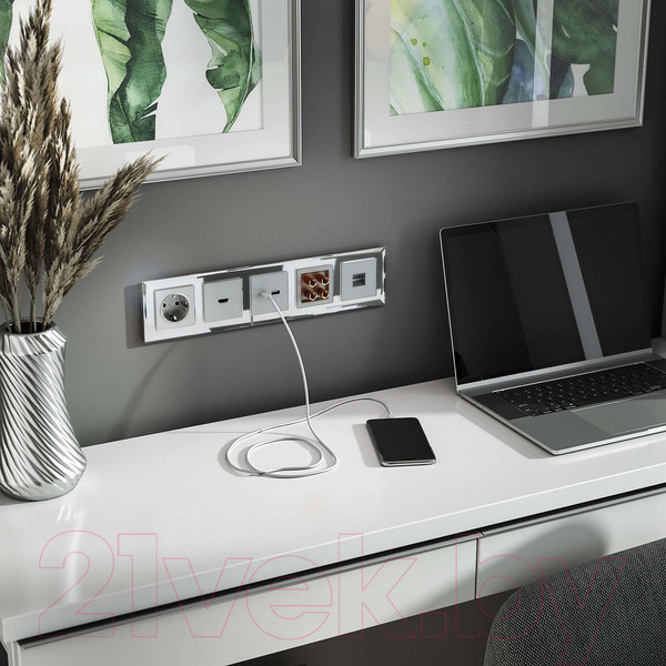 Изображение товара Розетка Werkel W1185006 (серебряный)