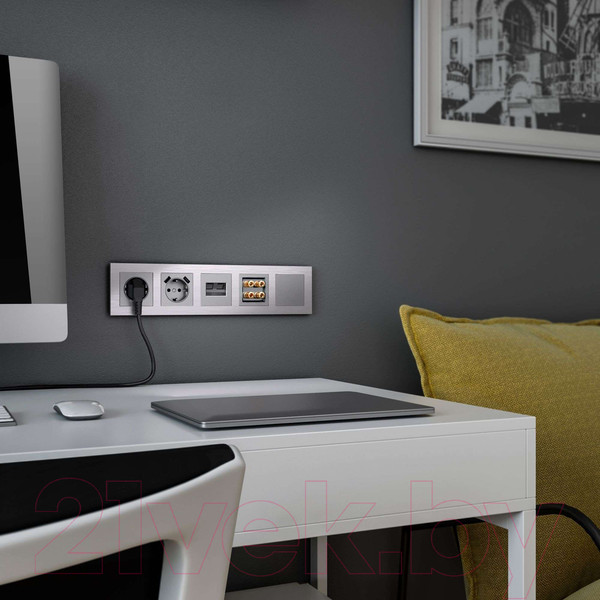 Изображение товара Розетка Werkel W1185006 (серебряный)