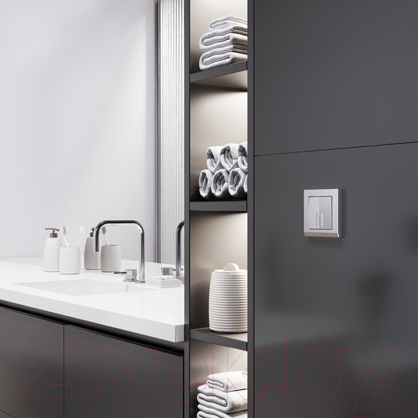 Изображение товара Выключатель Werkel W1120165 (серебряный матовый)