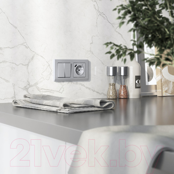 Изображение товара Выключатель Werkel W1122065 (серебряный матовый)