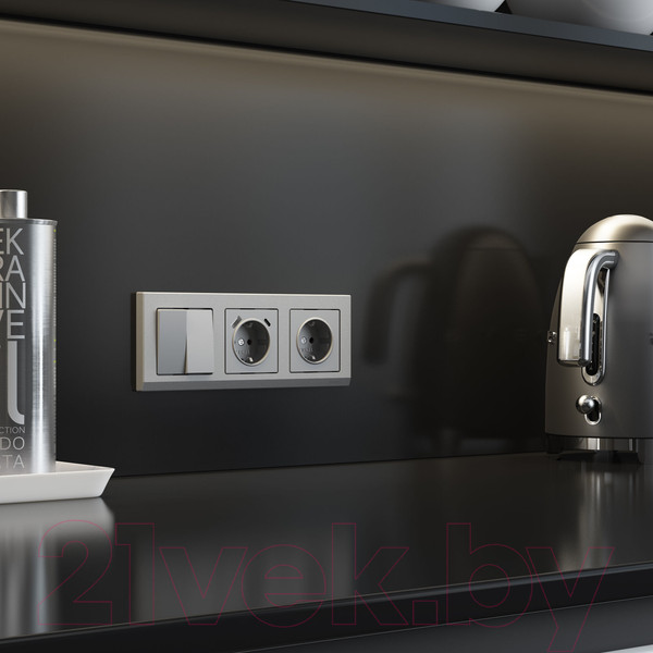 Изображение товара Выключатель Werkel W1122065 (серебряный матовый)