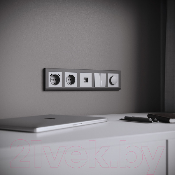 Изображение товара Выключатель Werkel W1122165 (серебряный матовый)