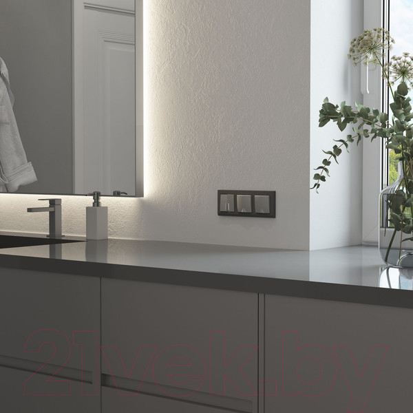 Изображение товара Выключатель Werkel W1122165 (серебряный матовый)