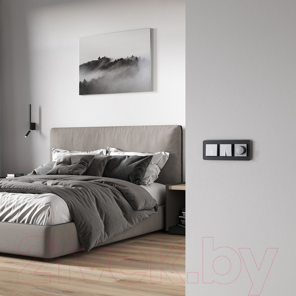 Изображение товара Диммер Werkel W1142065 (серебряный матовый)