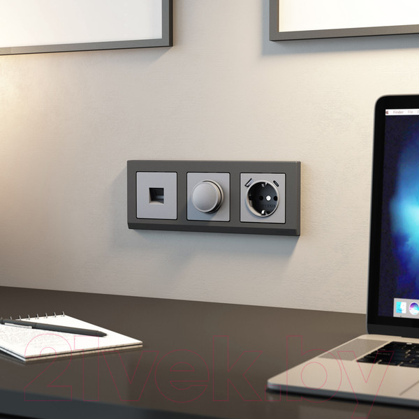 Изображение товара Диммер Werkel W1142065 (серебряный матовый)