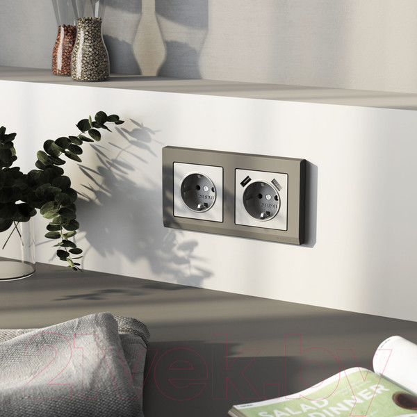 Изображение товара Розетка Werkel W1171165 (серебряный матовый)