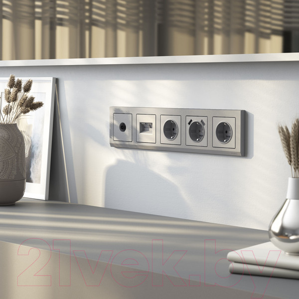 Изображение товара Розетка Werkel W1171165 (серебряный матовый)