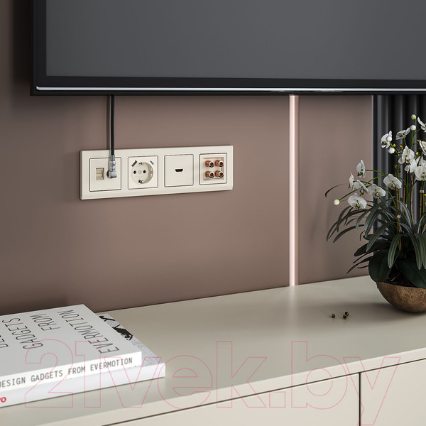 Изображение товара Розетка Werkel W1171703 (слоновая кость)