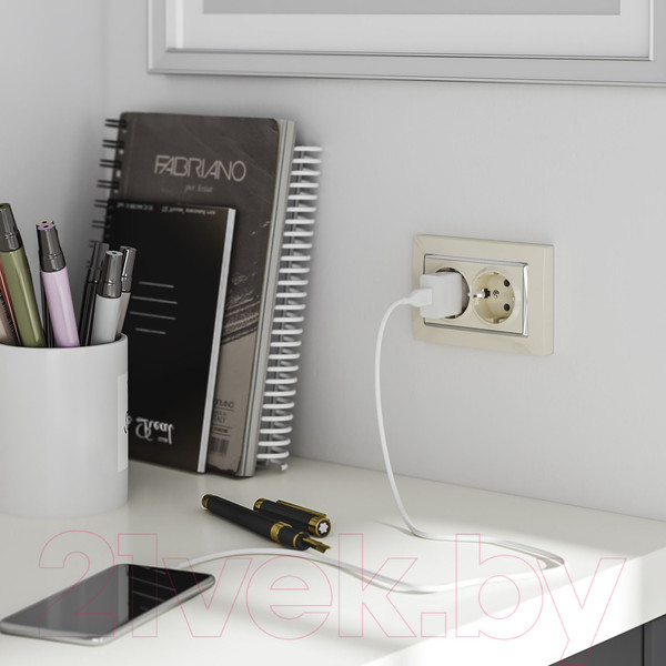 Изображение товара Розетка Werkel W1172003 (слоновая кость)