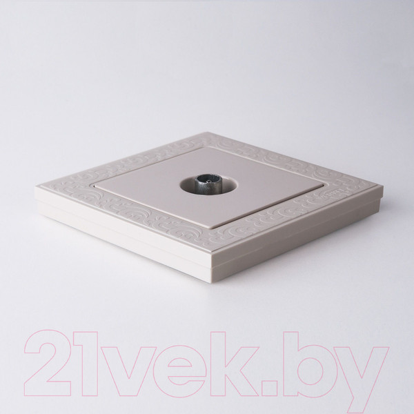 Изображение товара Розетка Werkel W1183003 (слоновая кость)