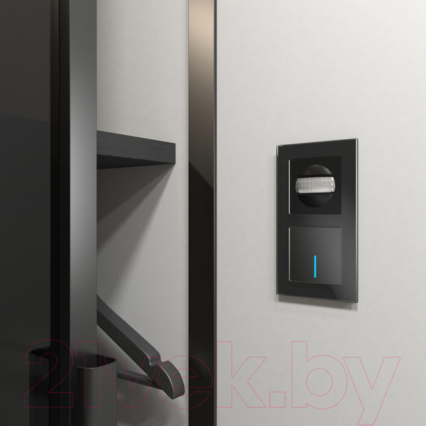 Изображение товара Датчик движения Werkel W1155108 (черный)