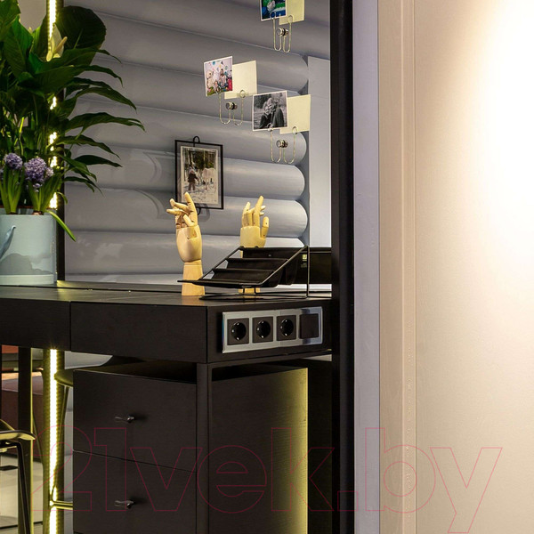 Изображение товара Розетка Werkel W1171308 (черный матовый)