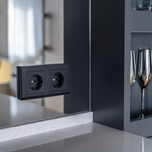Изображение товара Розетка Werkel W1171308 (черный матовый)