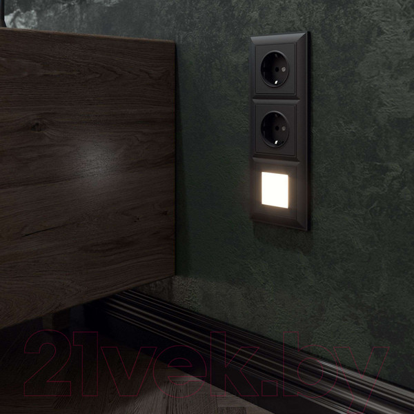 Изображение товара Розетка Werkel W1171308 (черный матовый)