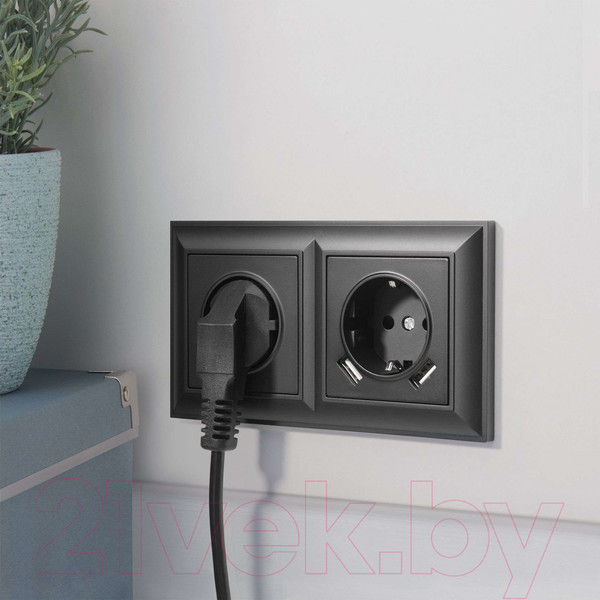 Изображение товара Розетка Werkel W1171308 (черный матовый)