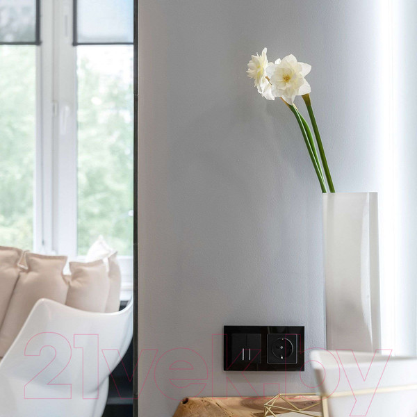 Изображение товара Розетка Werkel W1171308 (черный матовый)