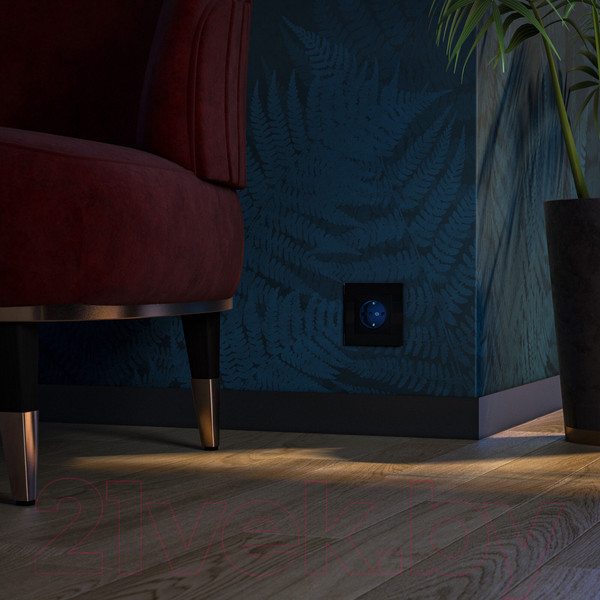 Изображение товара Розетка Werkel W1171408 (черный)