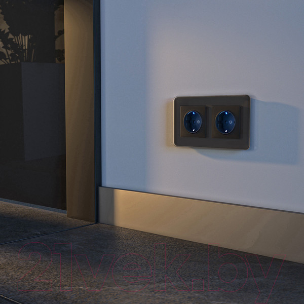 Изображение товара Розетка Werkel W1171408 (черный)