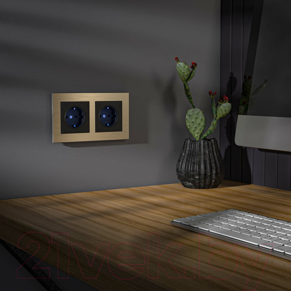 Изображение товара Розетка Werkel W1171408 (черный)