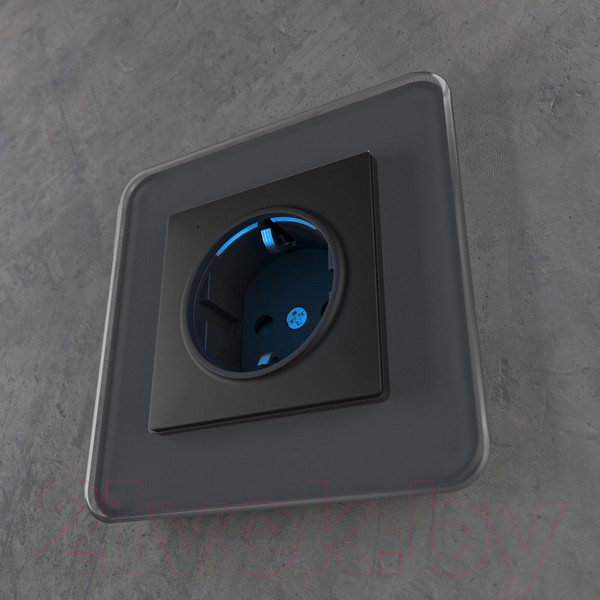 Изображение товара Розетка Werkel W1171408 (черный)