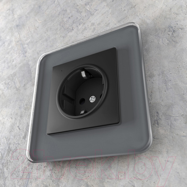 Изображение товара Розетка Werkel W1171408 (черный)