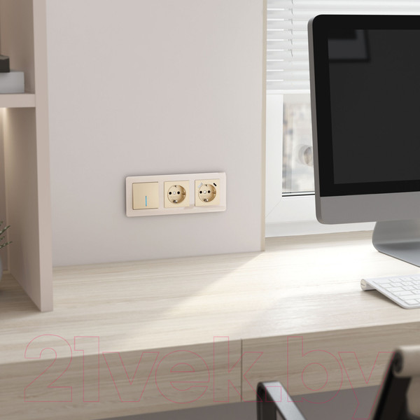 Изображение товара Выключатель Werkel W1110111 (шампань)