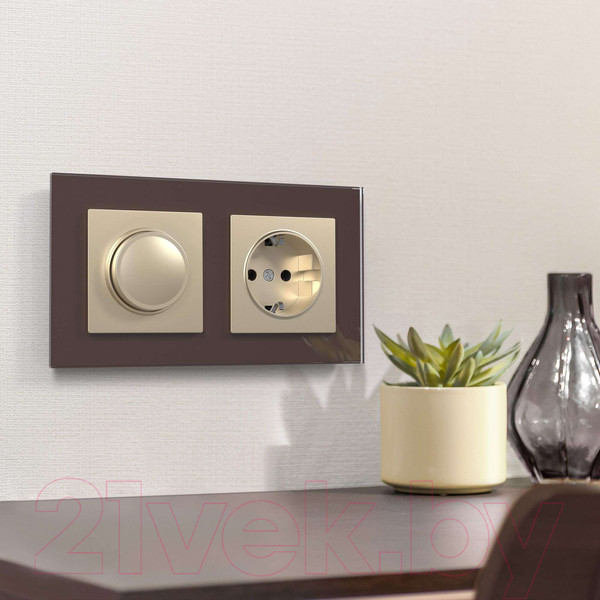 Изображение товара Диммер Werkel W1142011 (шампань)